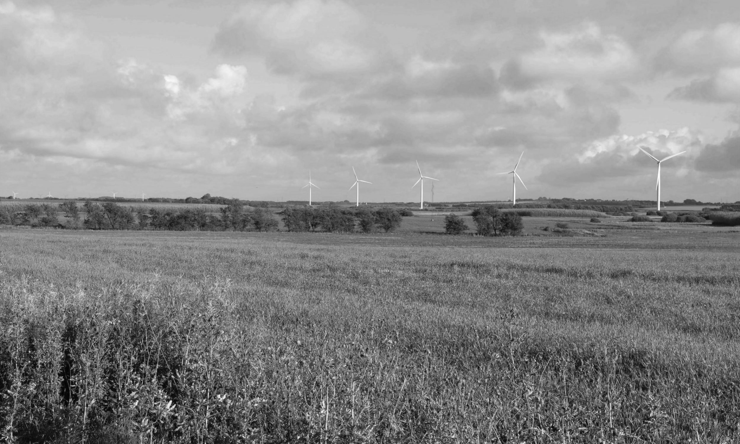 svoldrupkaer-for-grayscale